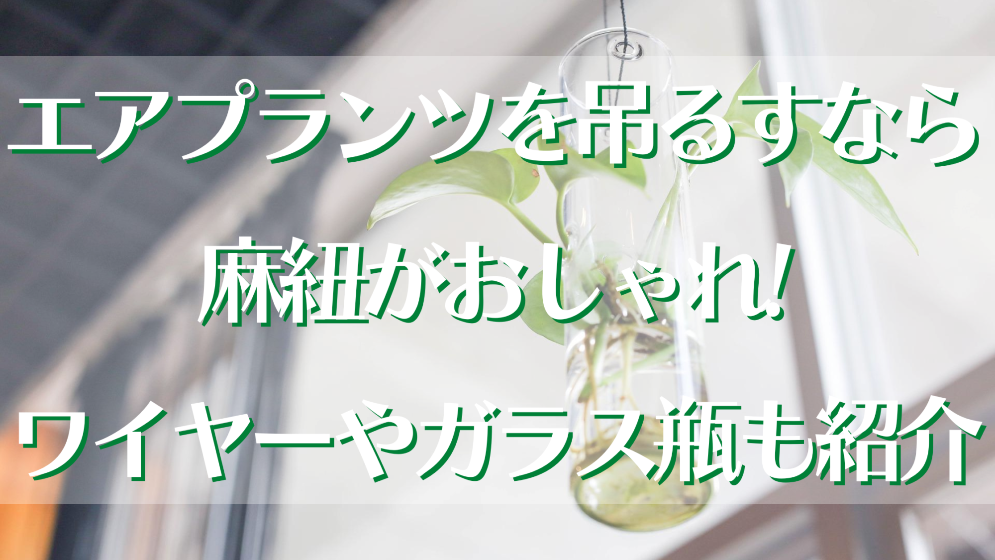 エアプランツを吊るすなら麻紐がおしゃれ ワイヤーやガラス瓶も紹介 知ttoko