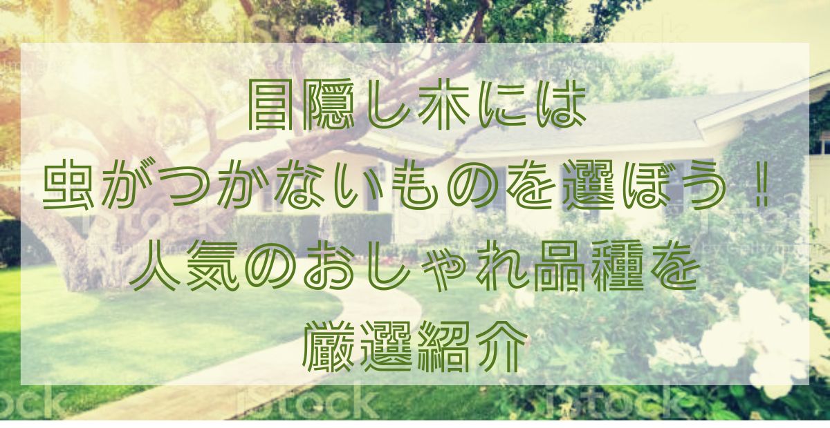 目隠し木には虫がつかないものを選ぼう おしゃれな品種を厳選紹介 知ttoko